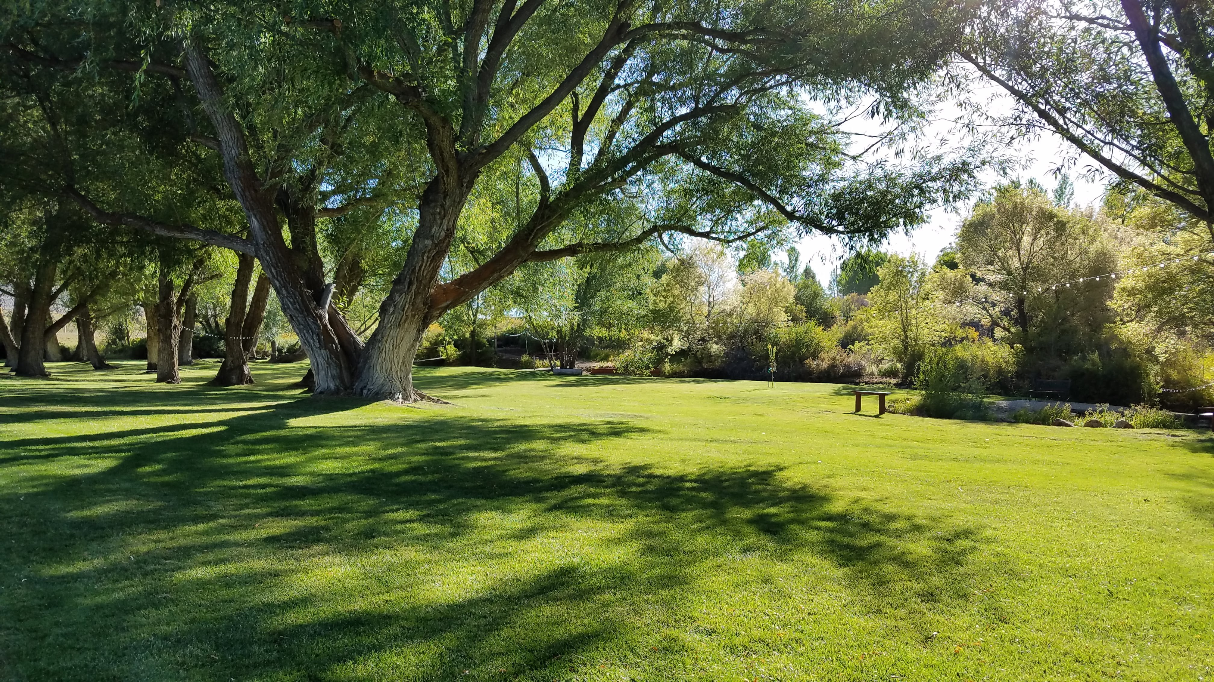 Not too many places as gorgeous as our green in summer!  Welcome to our high desert oasis.  We are Welcome, Nevada.