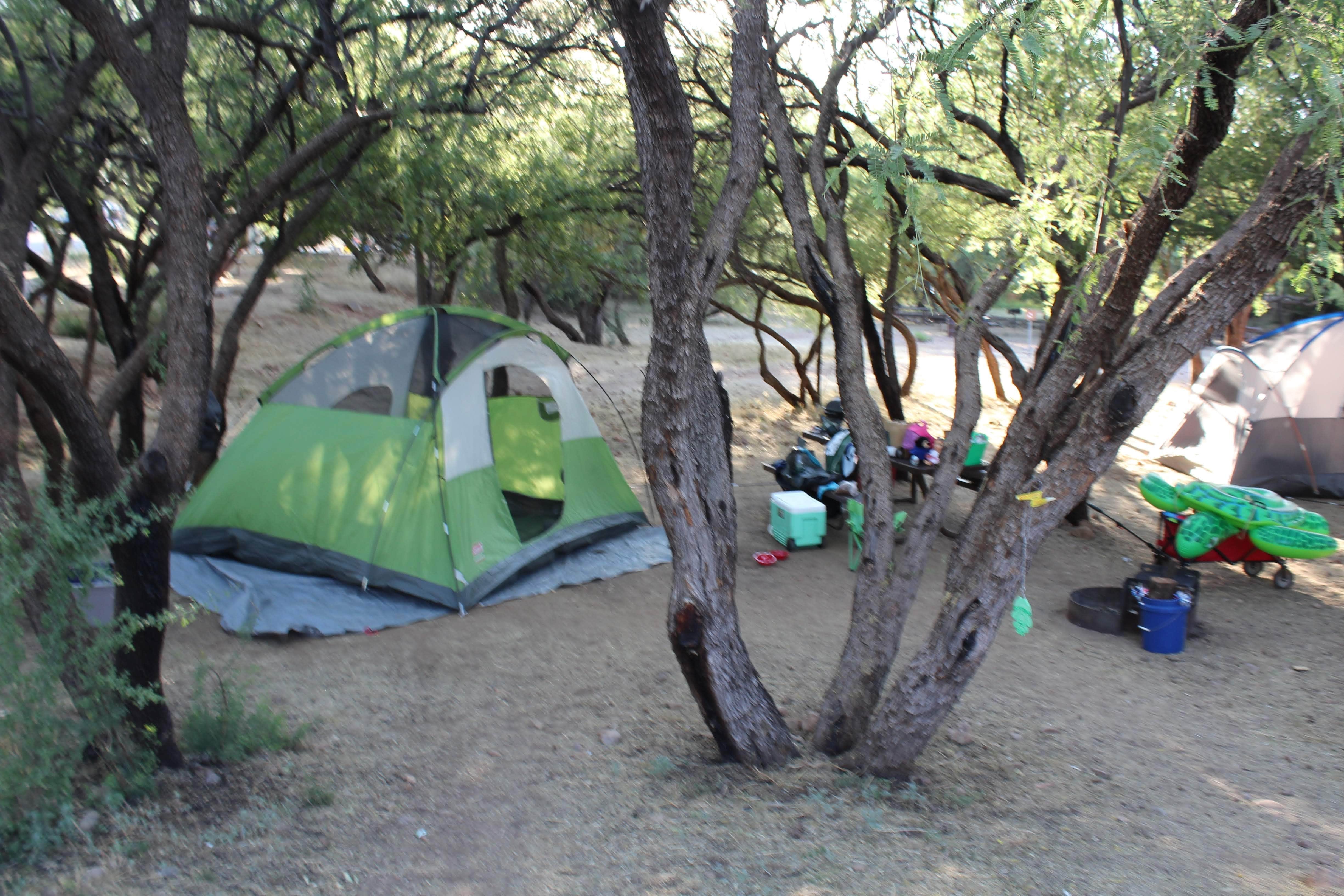 Tyla P.'s photo at Patagonia Lake State Park Campground near Nogales, AZ