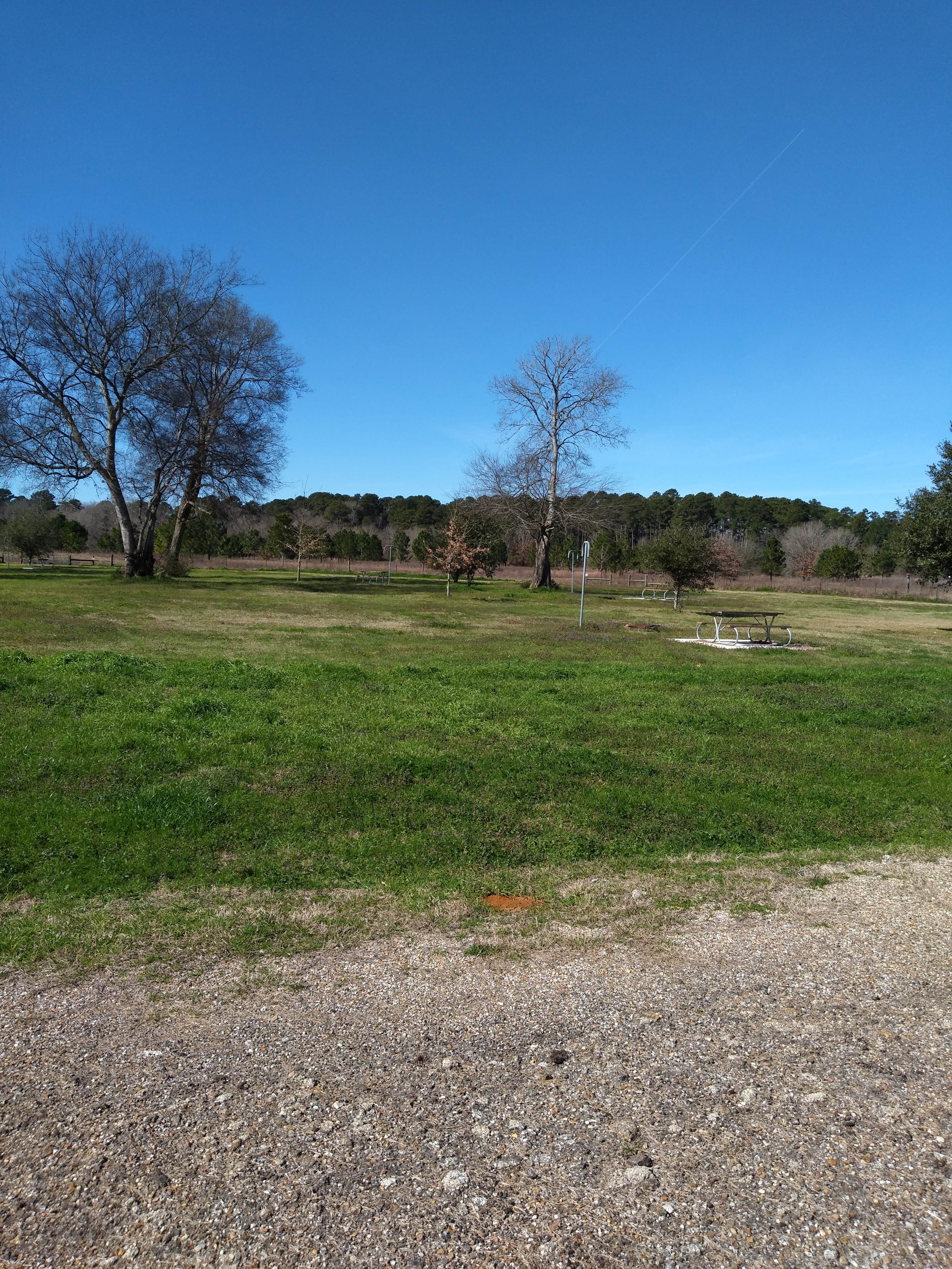 Camper submitted image from Alazan Bayou - 3
