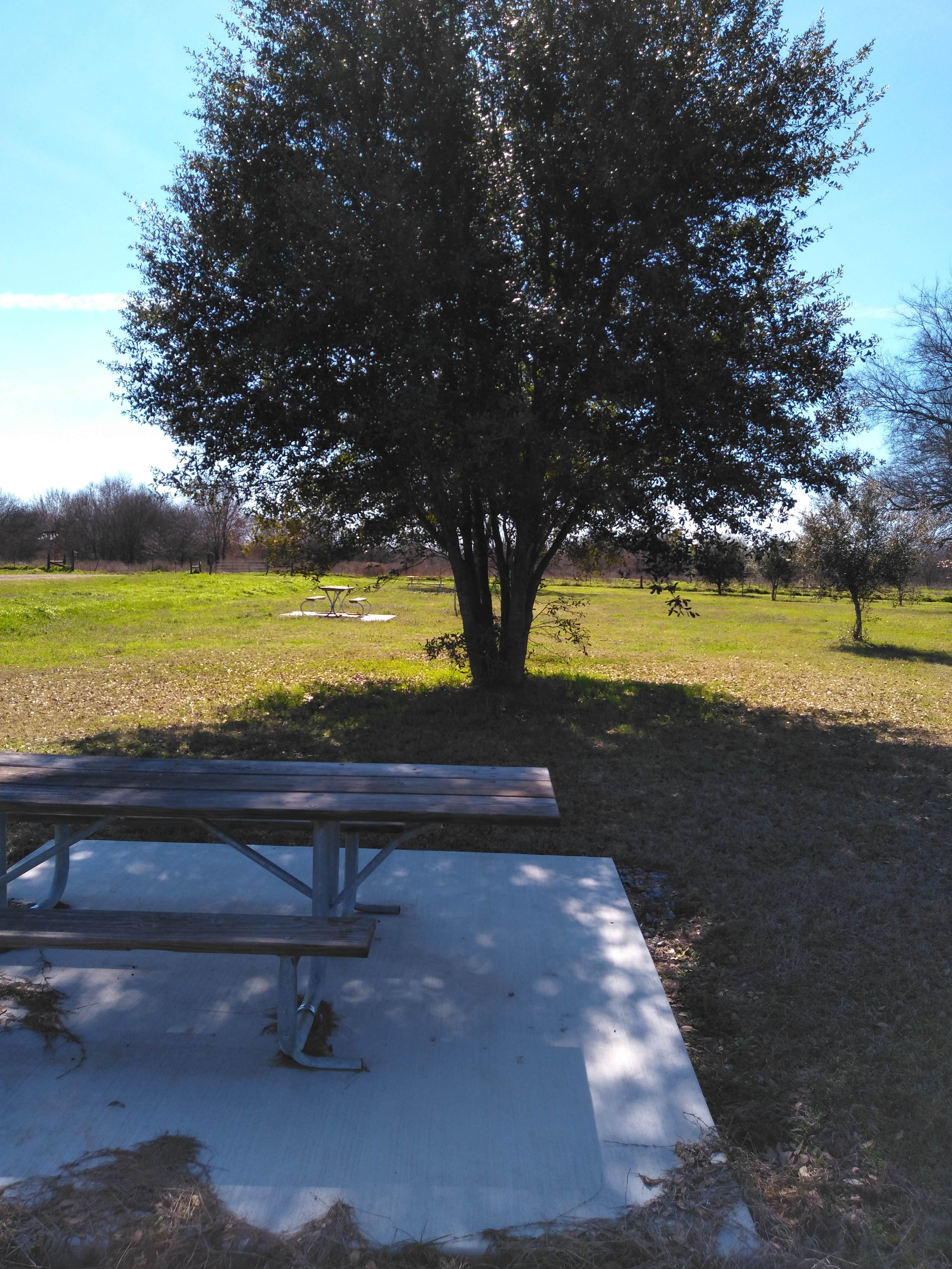 Camper-submitted photo at Alazan Bayou near Alto, TX
