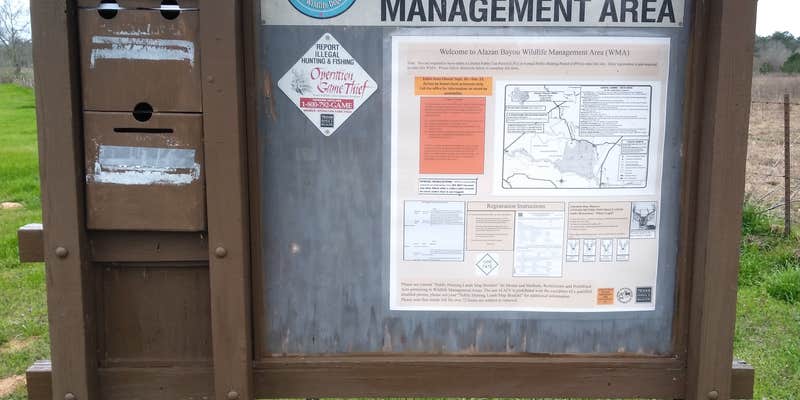 Camper submitted image from Alazan Bayou