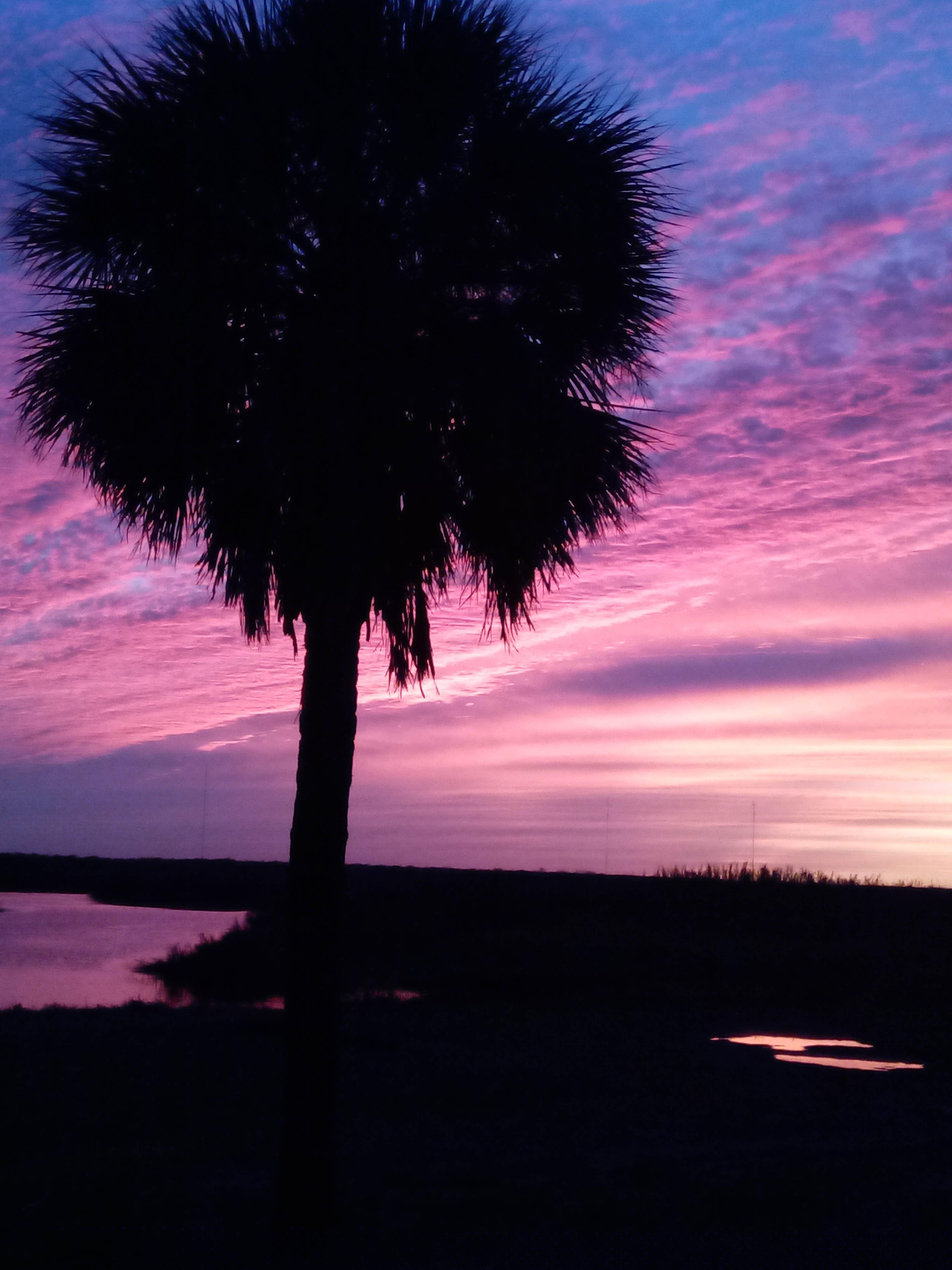 Camping near East Camp — Little Big Econ State Forest: Hatbill Park, Christmas, Florida