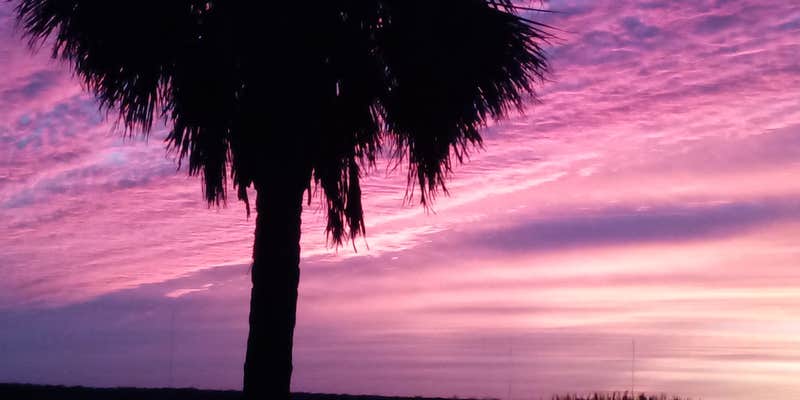 Camper submitted image from Hatbill Park