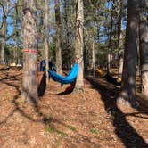 Review photo of Valentine Lake Northshore Campground by Van N., February 9, 2020