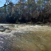 Review photo of Kisatchie Bayou NF Campground by Van N., February 9, 2020