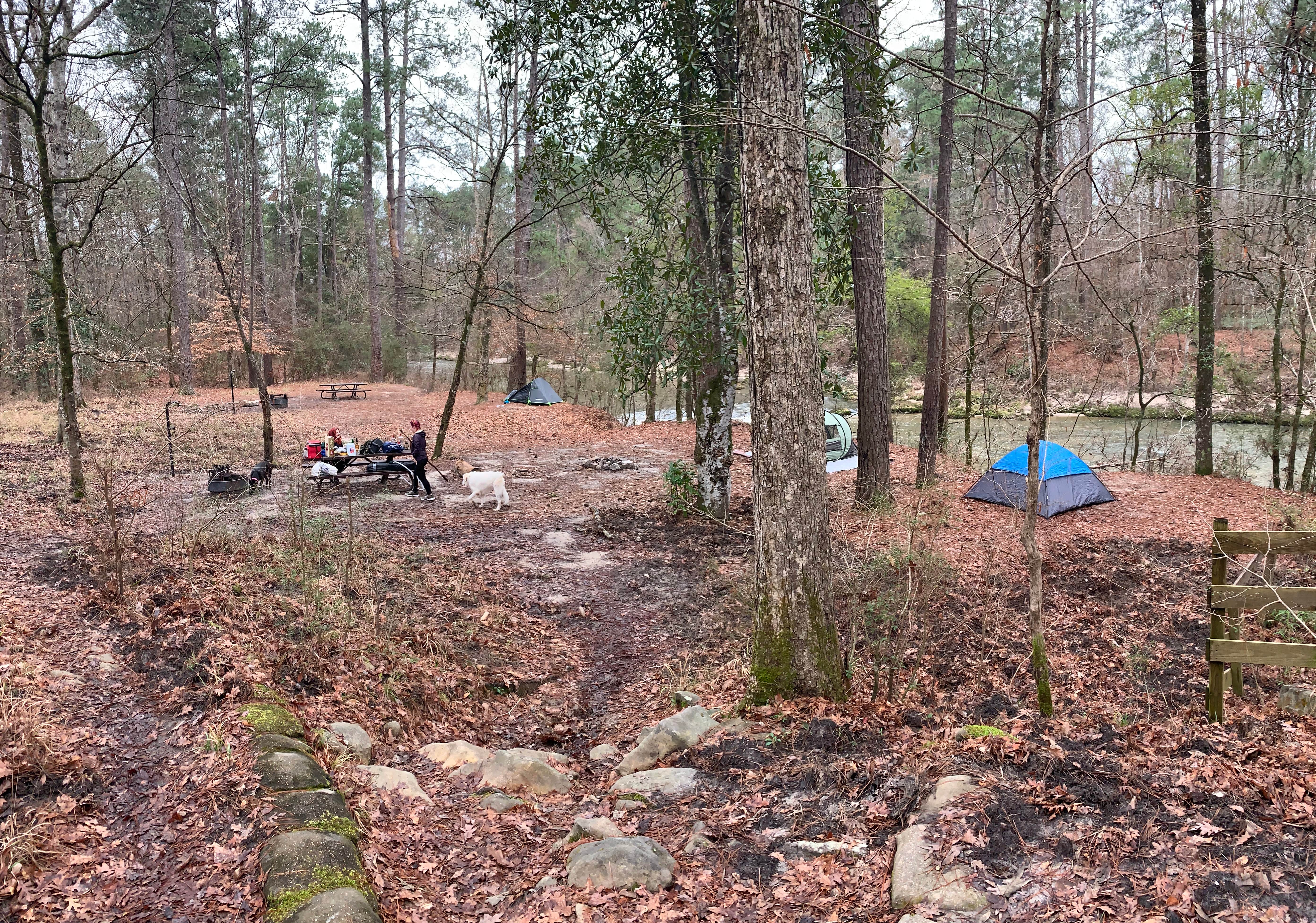 Van N.'s photo at Kisatchie Bayou NF Campground - Temporarily Closed near Natchitoches, LA