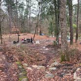 Review photo of Kisatchie Bayou NF Campground by Van N., February 9, 2020