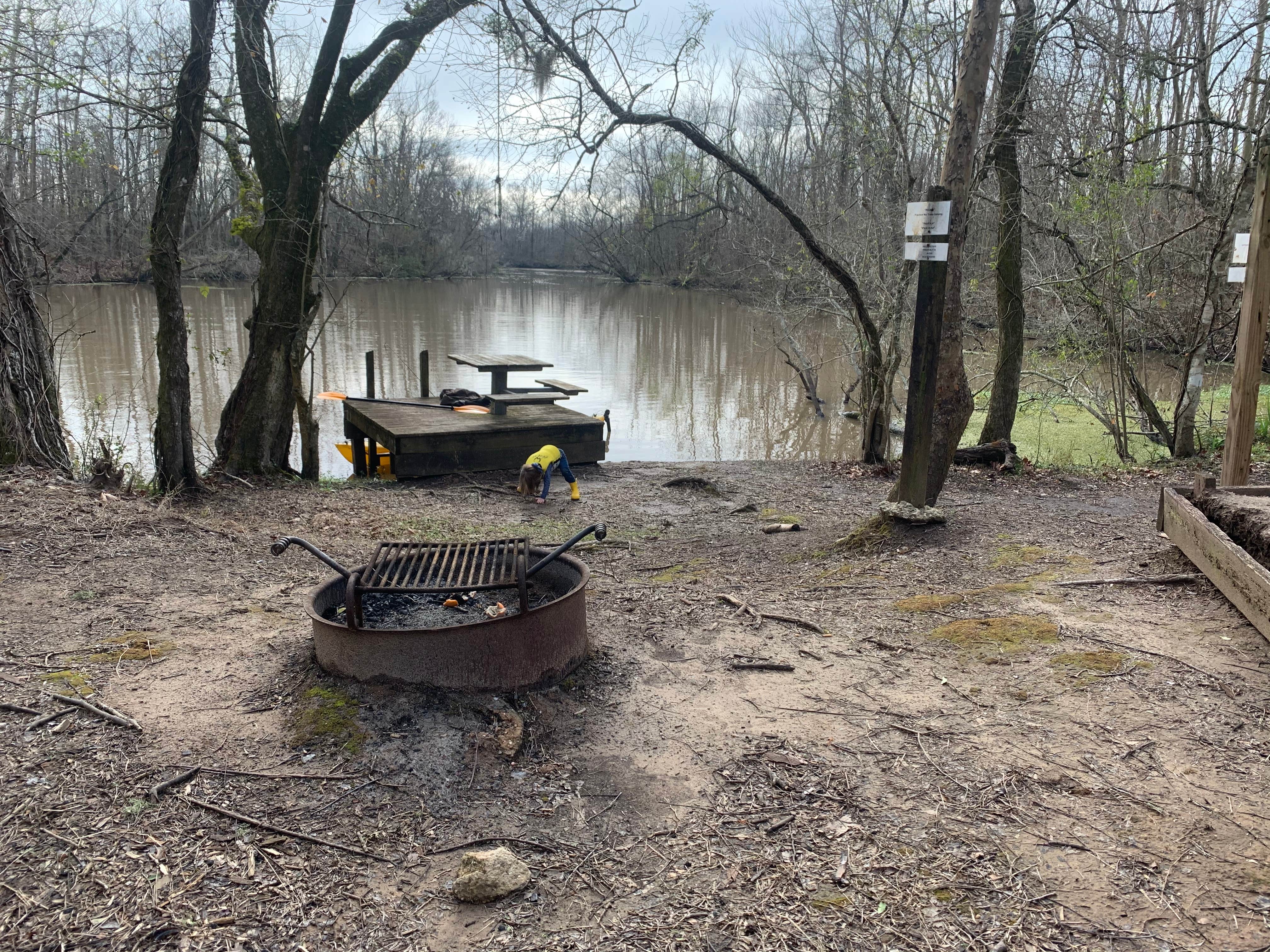 Camper submitted image from Lake Fausse Pointe State Park Campground - 4