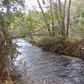 Review photo of Bennett Spring State Park Campground by Lula L., February 9, 2020