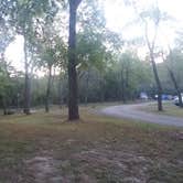 Review photo of Bennett Spring State Park Campground by Lula L., February 9, 2020