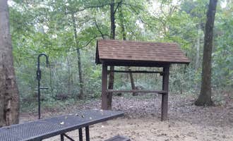 Camping near Rock Bridge Memorial State Park - Educational Scout Camps: Pine Ridge Recreation Area, New Bloomfield, Missouri