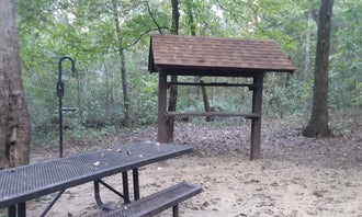 Camping near Rock Bridge Memorial State Park - Educational Scout Camps: Pine Ridge Recreation Area, New Bloomfield, Missouri