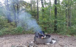 Lula L.'s photo at Pine Ridge Recreation Area near Eldon, MO