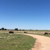 Review photo of Caprock Canyons State Park Campground by jasmine L., August 30, 2017