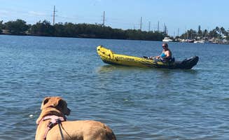 Josh W.'s photo of camping with pets at Encore Fiesta Key near Everglades National Park