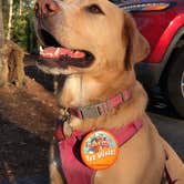 Review photo of Disney’s Fort Wilderness Resort & Campground by Josh W., February 10, 2020