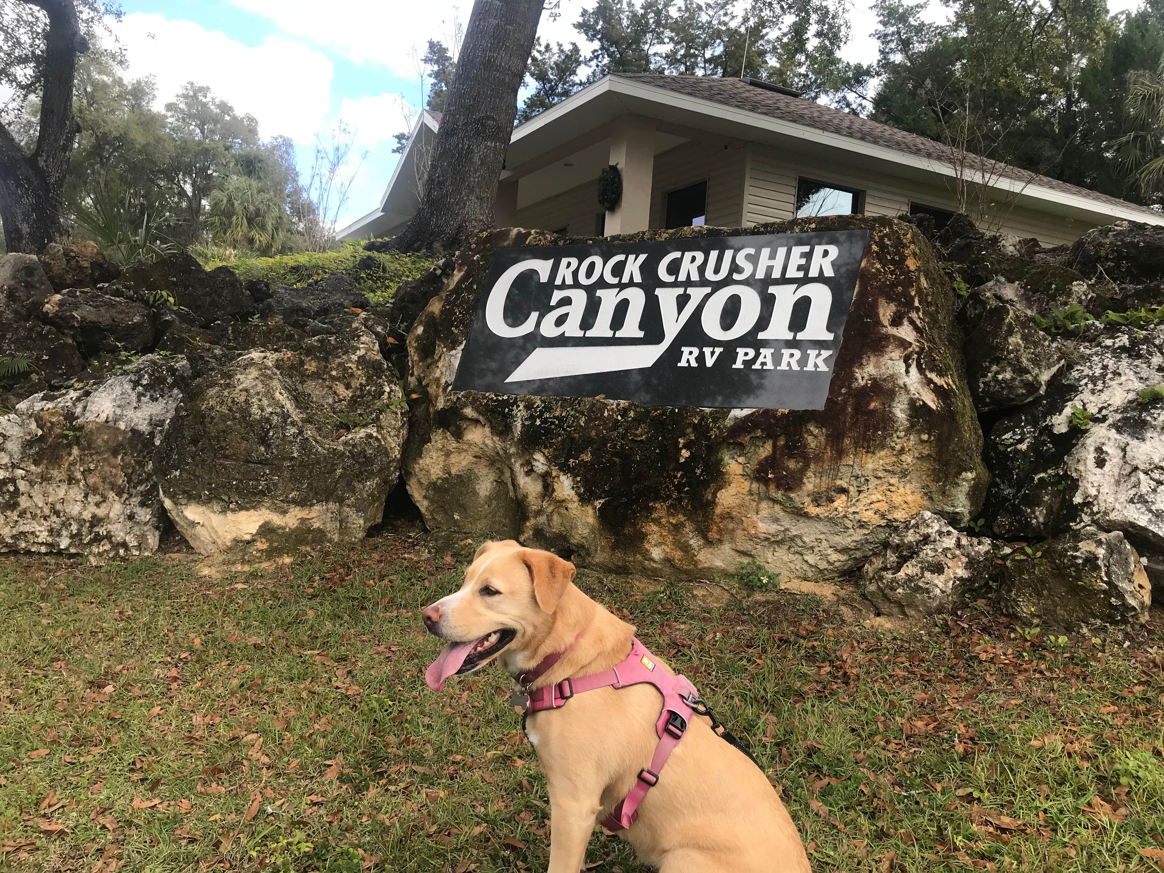Josh W.'s photo of camping with pets at Rock Crusher Canyon RV Park in Florida