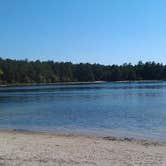 Review photo of Charge Pond Campground — Myles Standish State Forest by Deanna  S., February 10, 2020