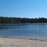 Review photo of Charge Pond Campground — Myles Standish State Forest by Deanna  S., February 10, 2020