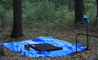 Asher K.'s photo at Wompatuck State Park Campground near Nahant, MA