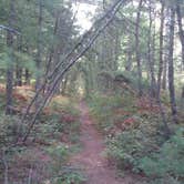 Review photo of Charge Pond Campground — Myles Standish State Forest by Deanna  S., February 10, 2020