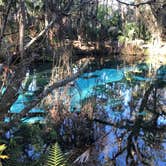 Review photo of Juniper Springs Rec Area - Tropical Camp Area by Angela M., February 11, 2020