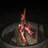 Review photo of River's End Campground & RV Park by Grayson C., February 11, 2020