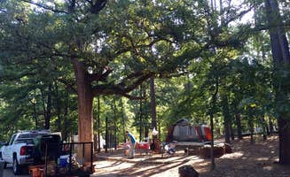 jasmine L.'s photo at Tyler State Park Campground near Cuney, TX