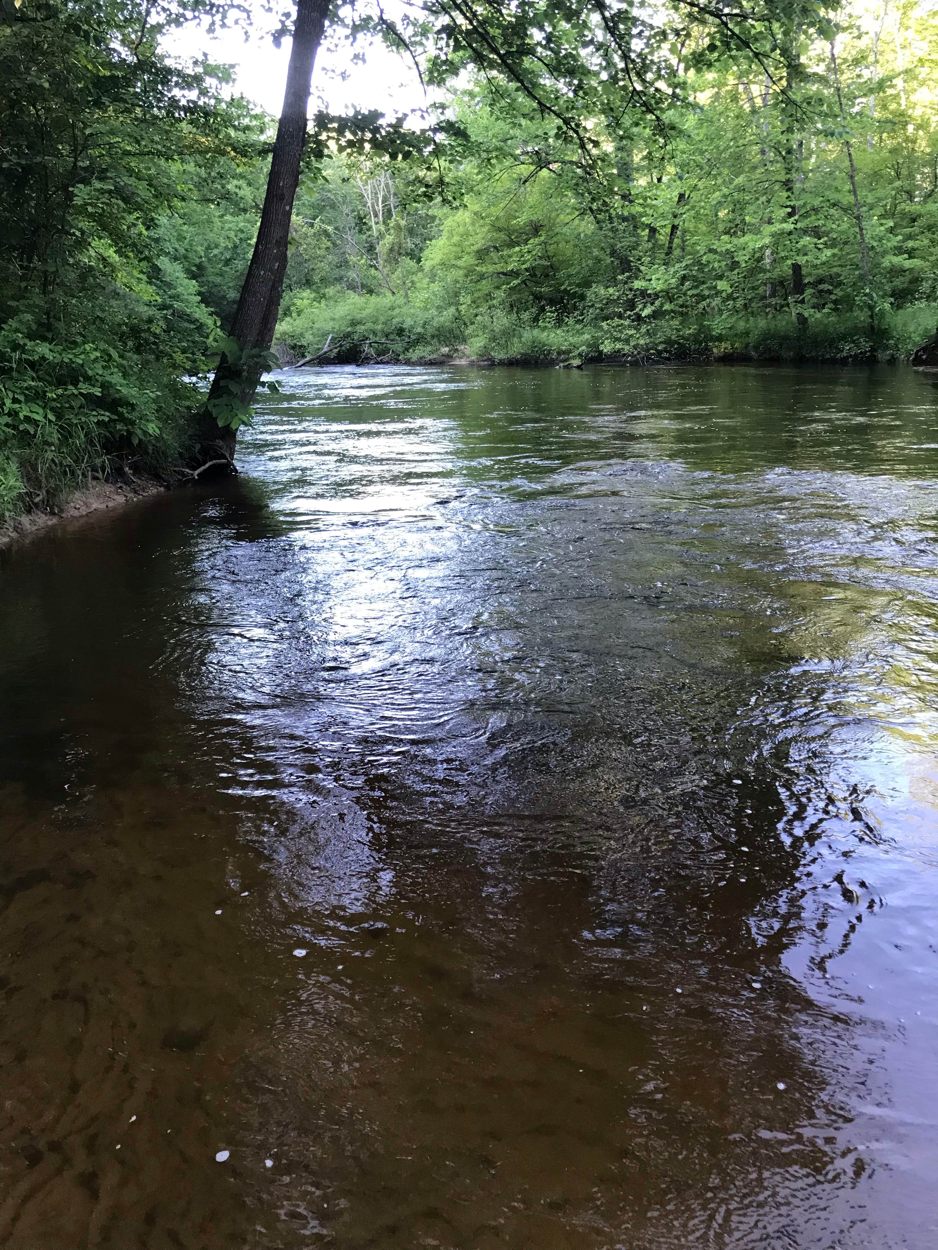 Camper submitted image from Pines Point Campground - 4
