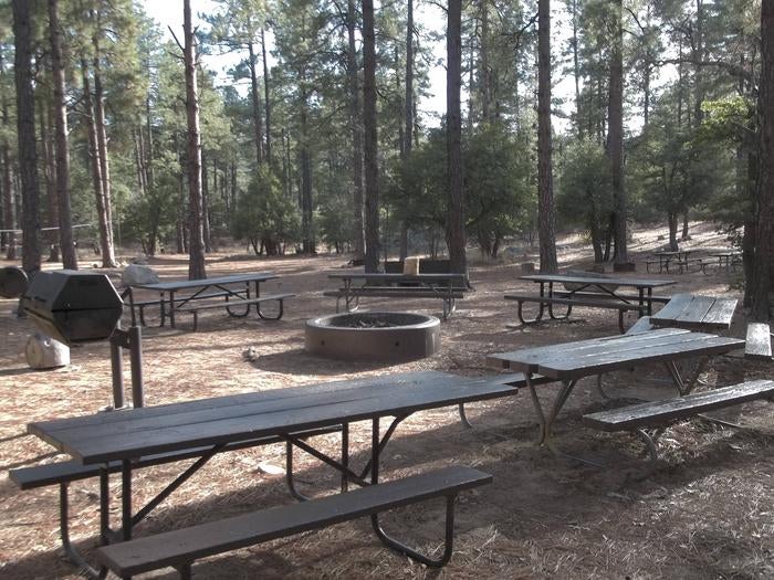 Upper Wolf Creek Group Camp Fire Pit 



Large fire pit located at the center of the group site, Charcoal grills are also available around the fire pit and at additional sites within the group site.  

Credit: US Forest Service