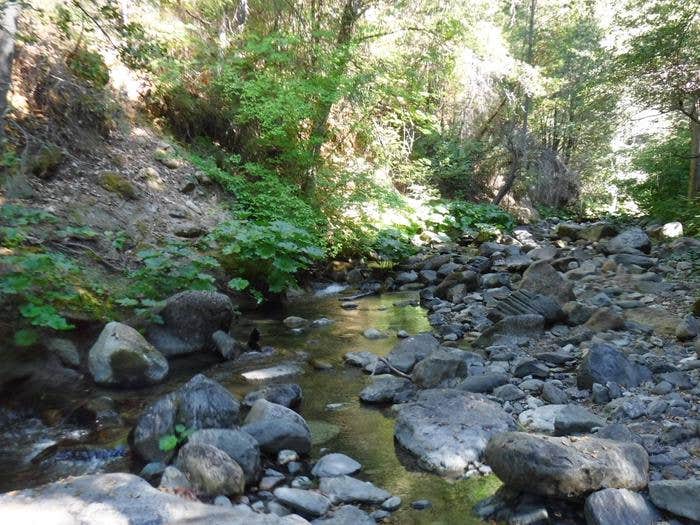 Camper-submitted photo at Cal-Ida near Goodyears Bar, CA