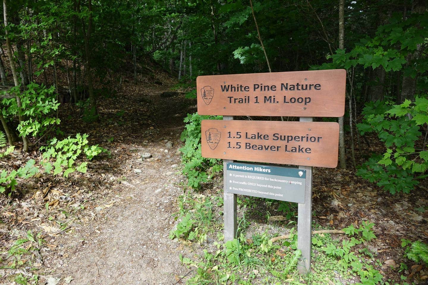 Camper submitted image from Little Beaver Lake Campground — Pictured Rocks National Lakeshore - 4