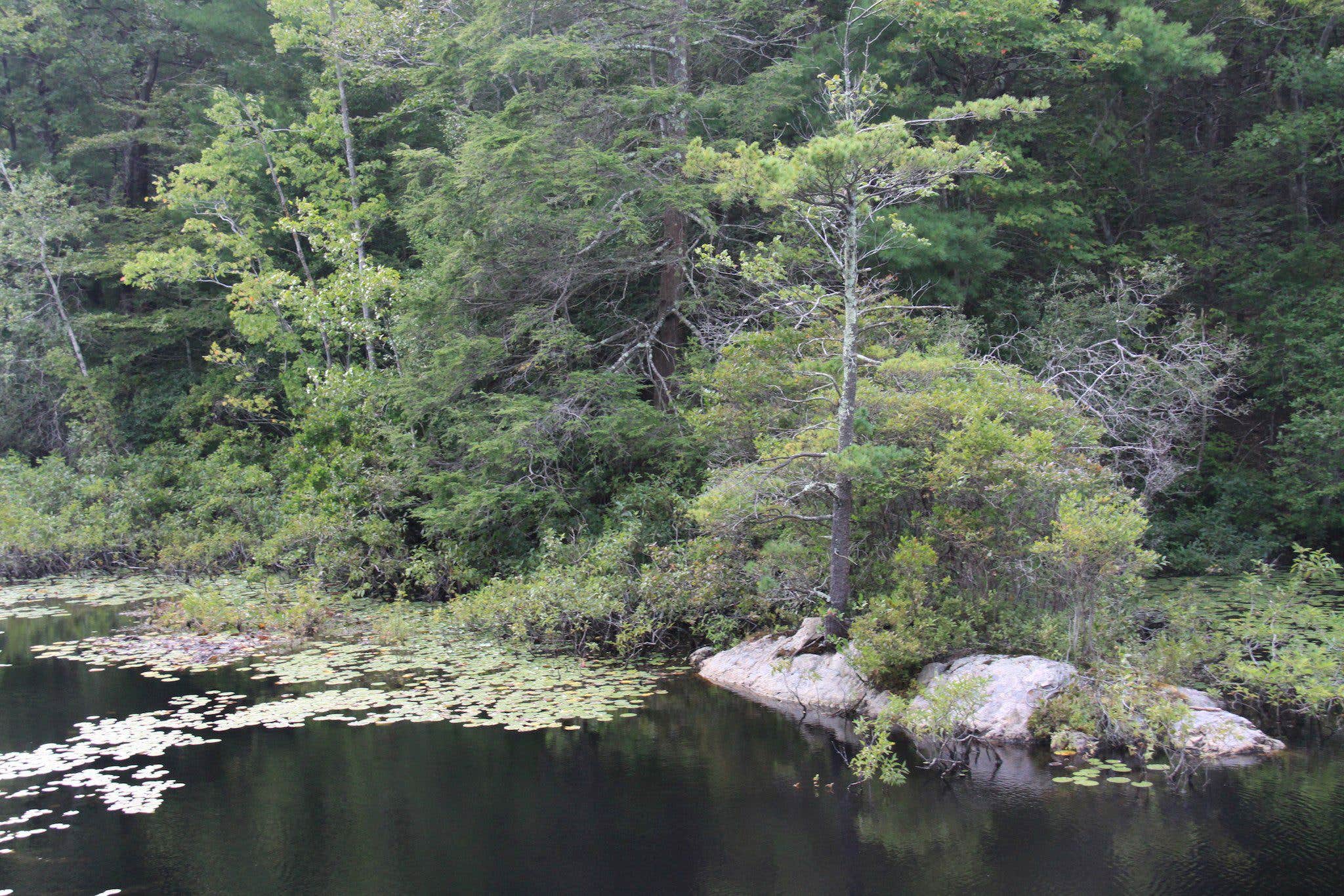 Wompatuck State Park Campground