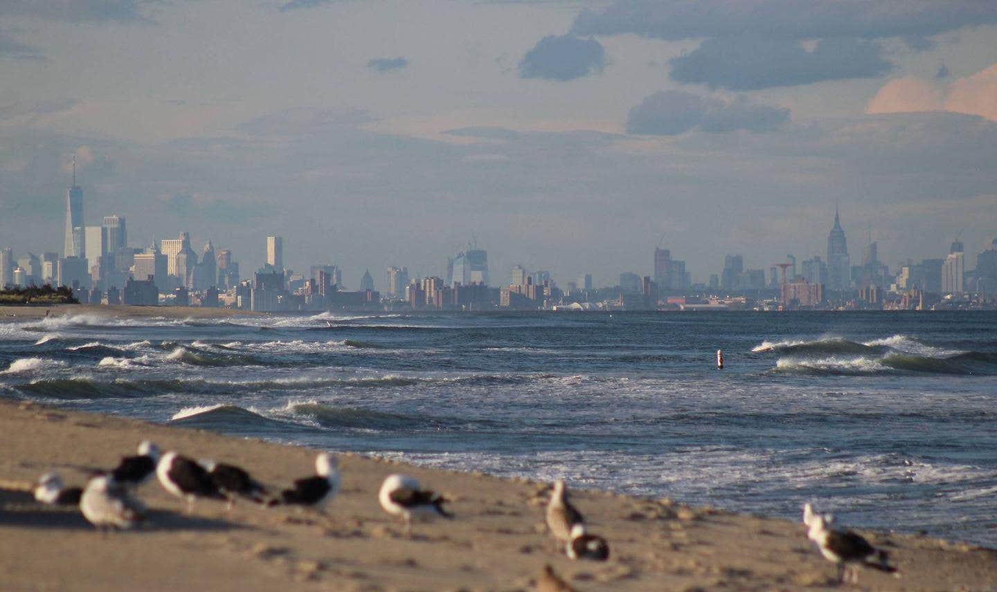 The view of New York City from the beach at Sandy Hook



The New York City skyline from the beach at Sandy Hook

Credit: NPS Park Ranger Kris Bonello
