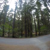 Review photo of Ohanapecosh Campground — Mount Rainier National Park by Elliott B., August 30, 2017