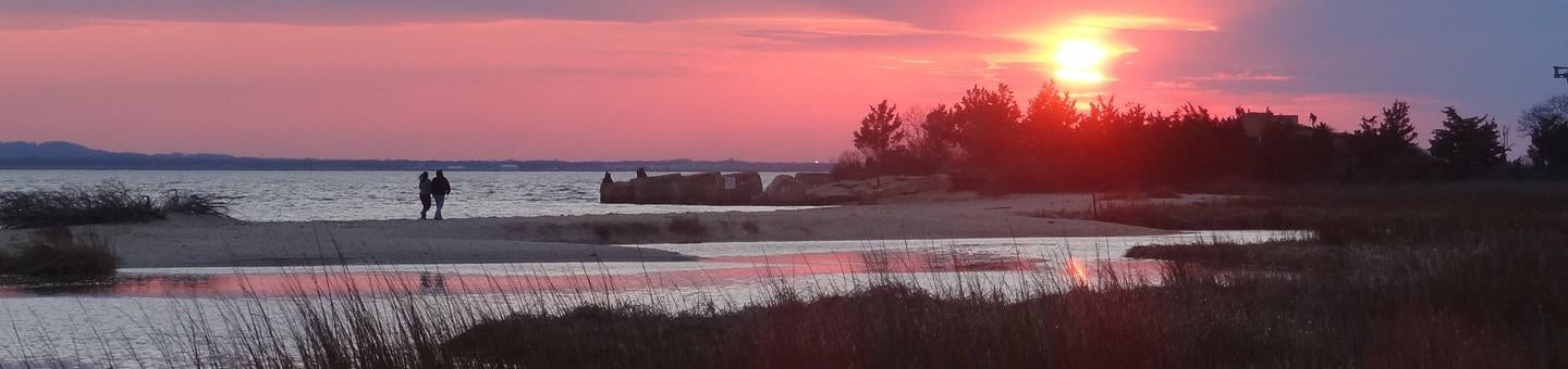 2 Park visitors walking on the beach at Horseshoe Cove while the sun is setting



Credit: NPS Park Ranger Conrad Wisniewski