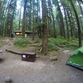 Review photo of Ohanapecosh Campground — Mount Rainier National Park by Elliott B., August 30, 2017