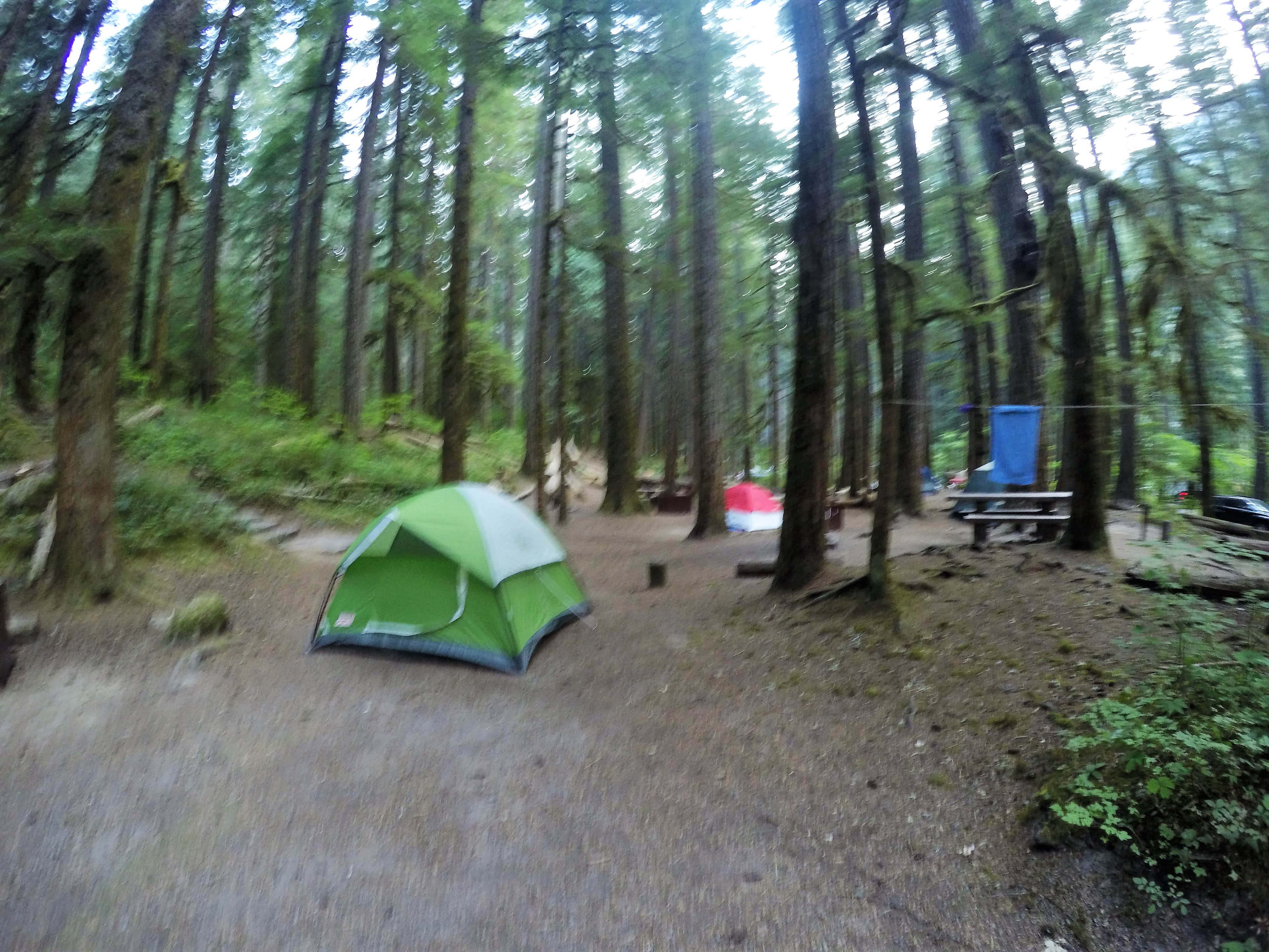 Elliott B.'s photo at Ohanapecosh Campground — Mount Rainier National Park near Longmire, WA