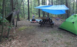 Asher K.'s photo at Wompatuck State Park Campground near Taunton, MA