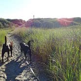 Review photo of Twin Harbors State Park Campground by Mercedes D., August 30, 2017