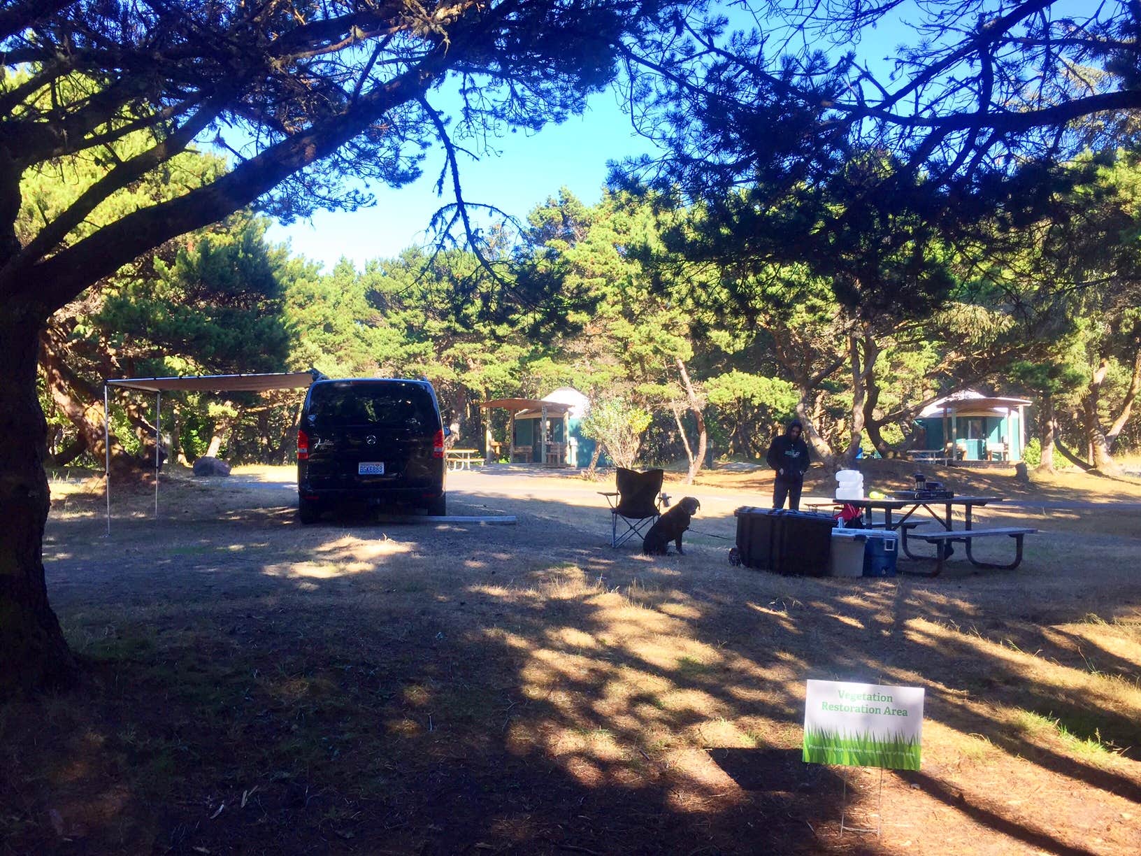 Mercedes D.'s photo at Twin Harbors State Park Campground near Aberdeen, WA