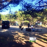Review photo of Twin Harbors State Park Campground by Mercedes D., August 30, 2017