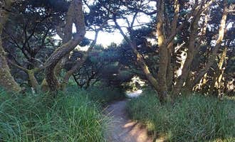 Camping near Ocean City State Park Campground: Twin Harbors State Park Campground, Westport, Washington