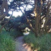 Review photo of Twin Harbors State Park Campground by Mercedes D., August 30, 2017