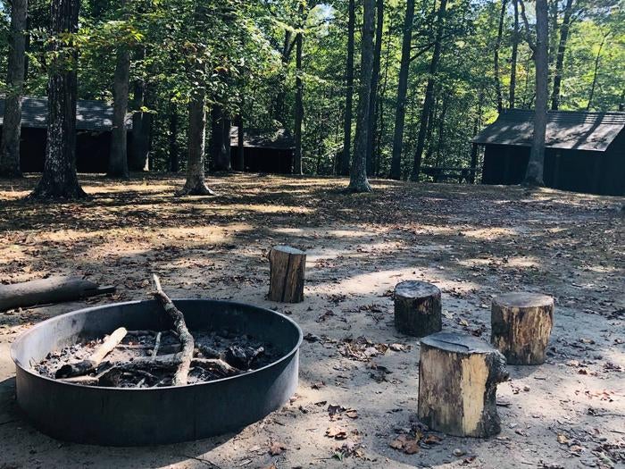 Camper submitted image from Cabin Camp 3 — Prince William Forest Park - 4