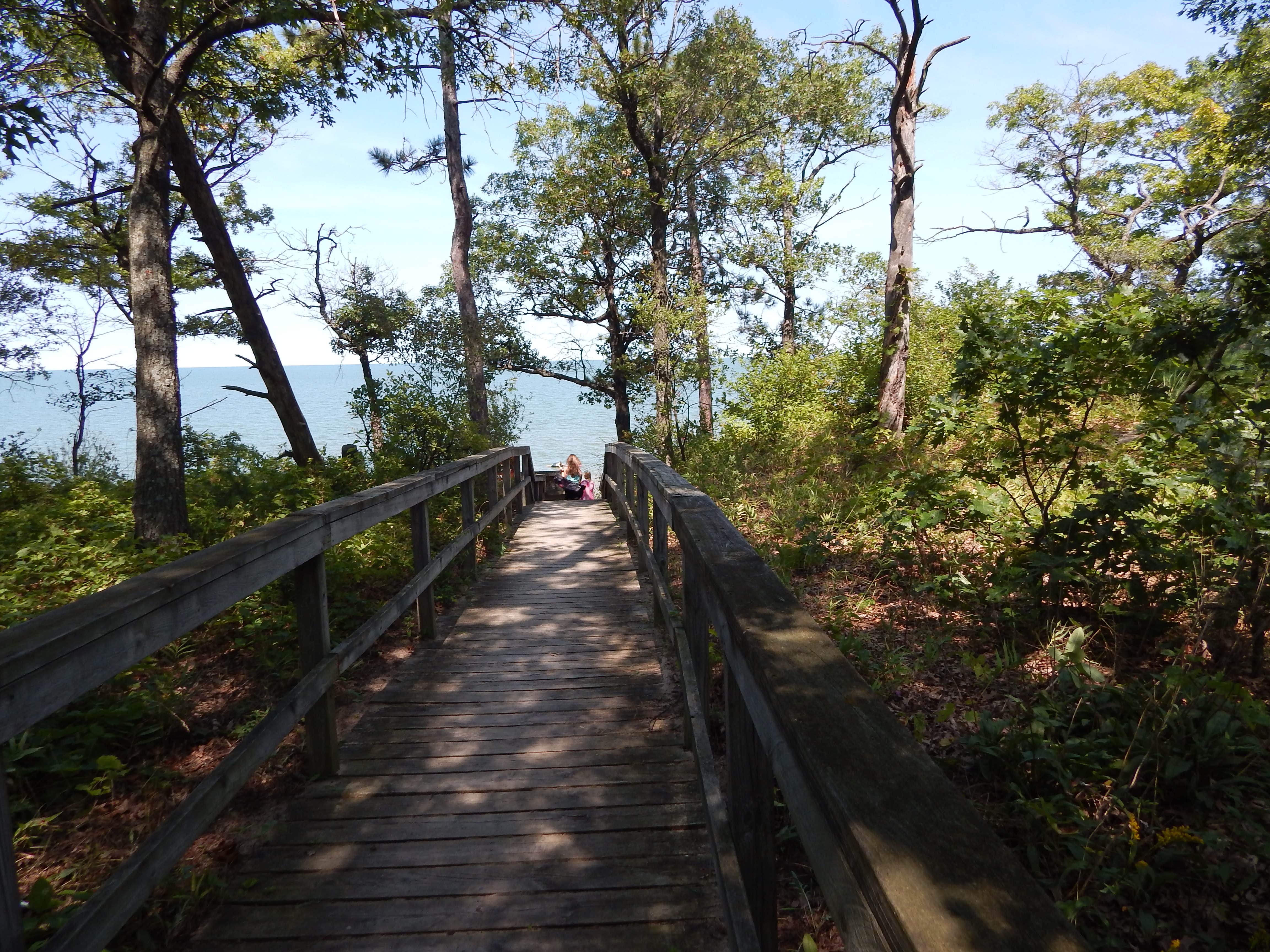 Camper submitted image from Sleeper State Park Campground - 4
