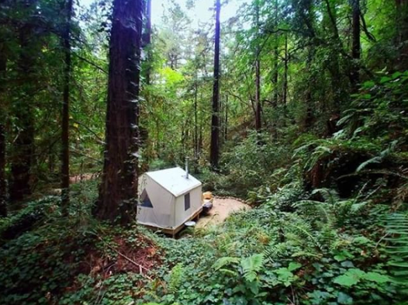 The Dyrt's photo of glamping accommodations at Creekside Paradise near Soquel, CA