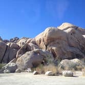 Review photo of Jumbo Rocks Campground — Joshua Tree National Park by Asher K., June 29, 2016