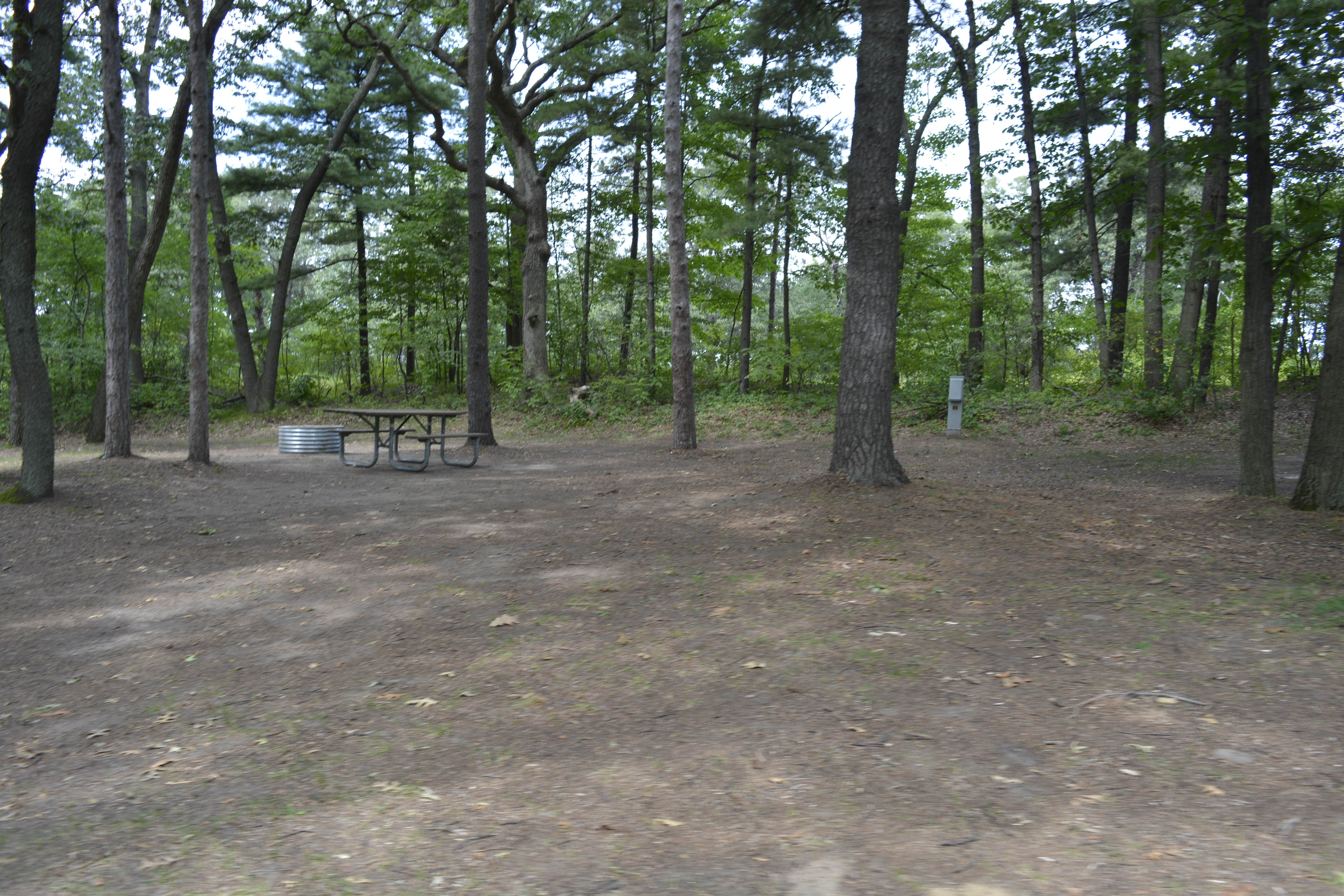 are dogs allowed at sleeper state park beach