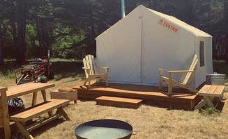 The Dyrt's photo at Cranberry Overlook at Black Moon Farms near Myrtle Point, OR